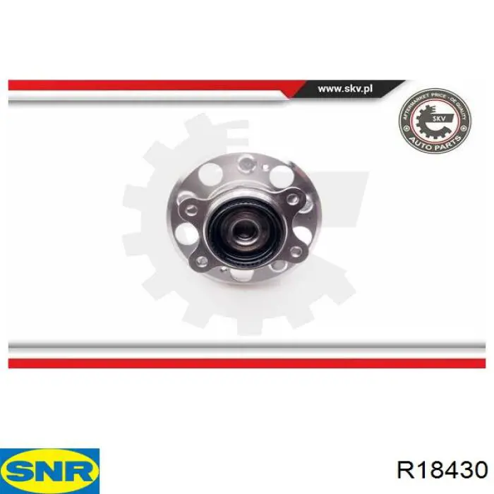 Comprar R18430 SNR Cubo de rueda, Eje trasero