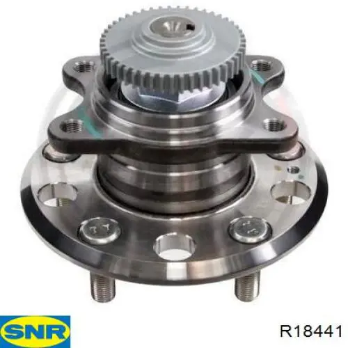 R18441 SNR Buje de rueda trasero