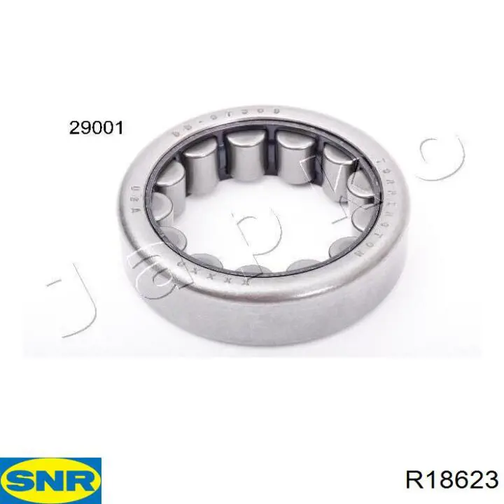 Cojinete exterior del semieje trasero SNR R18623 precio, desde 27,41 EUR