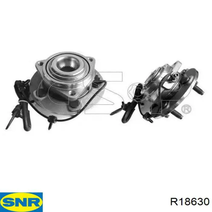 R18630 SNR Cubo delantero