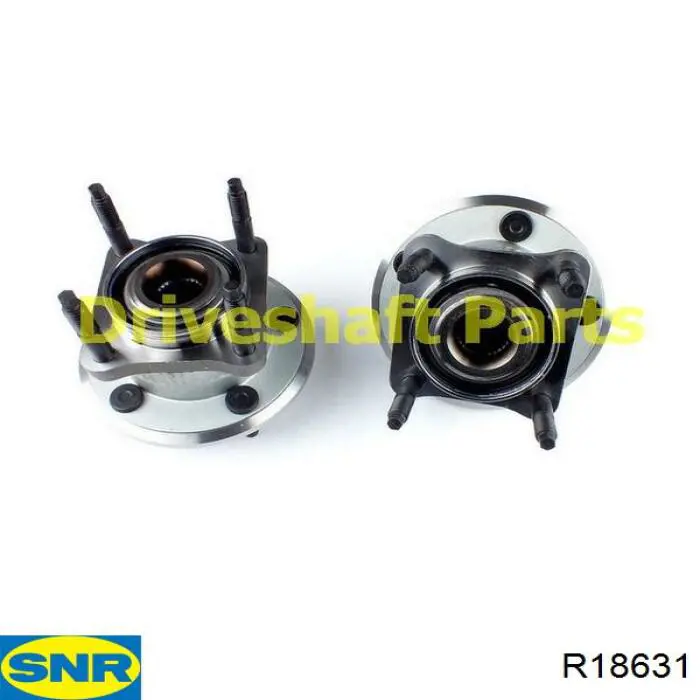 Comprar R18631 SNR Cubo de rueda, Eje trasero