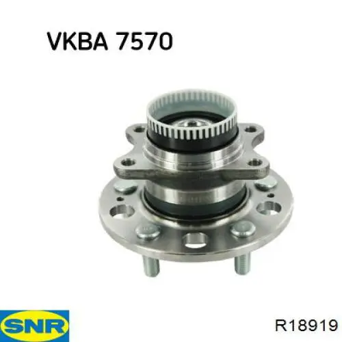 R189.19 SNR cubo de rueda trasero