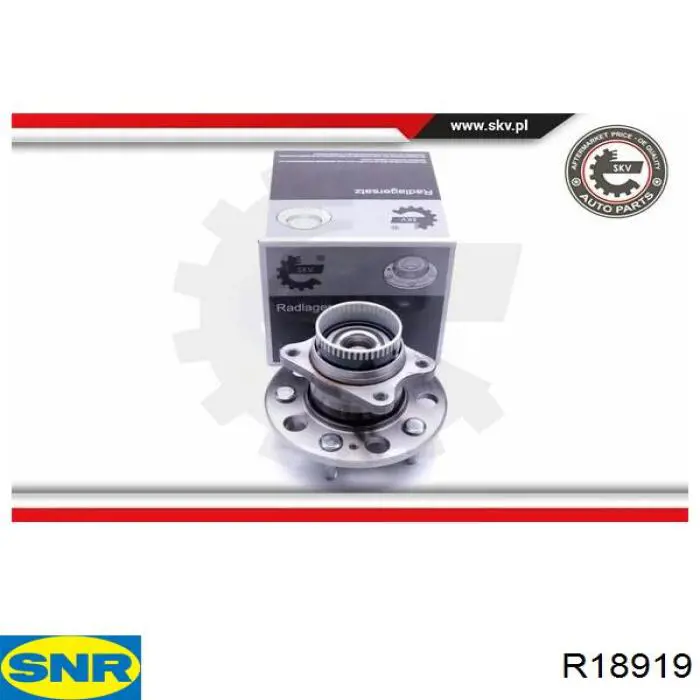 Buje de rueda SNR R18919 precio, desde 109,38 EUR
