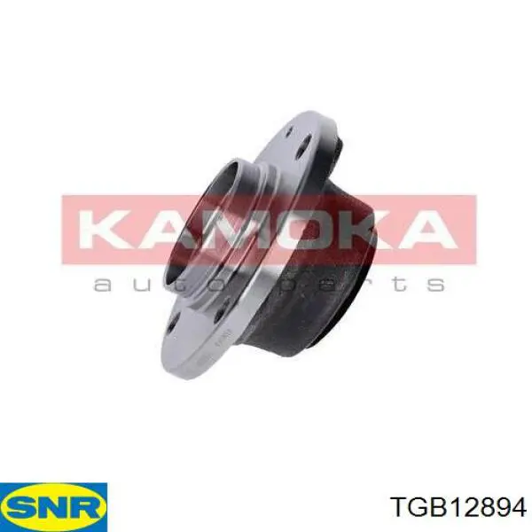 Comprar TGB12894 SNR Cubo de rueda, Eje trasero