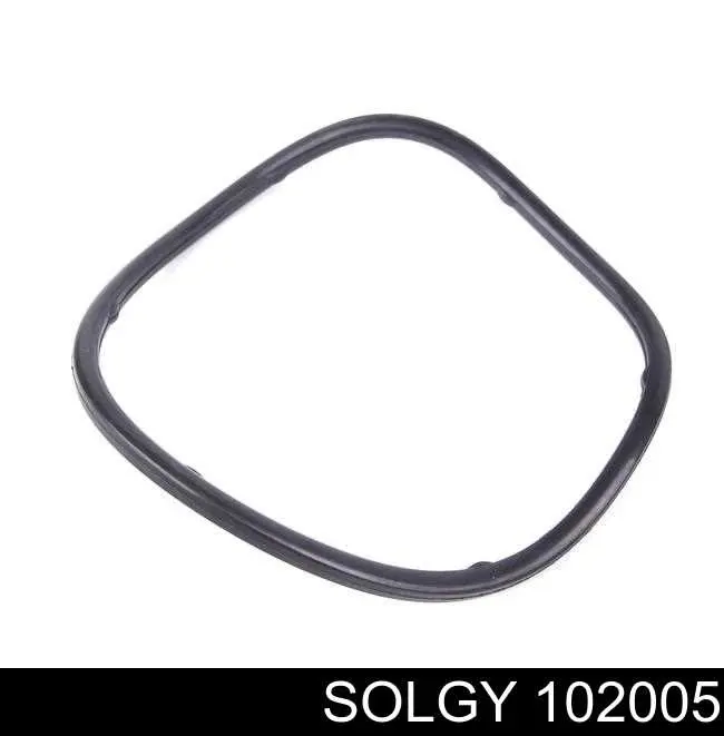 102005 Solgy Filtro de gasolina