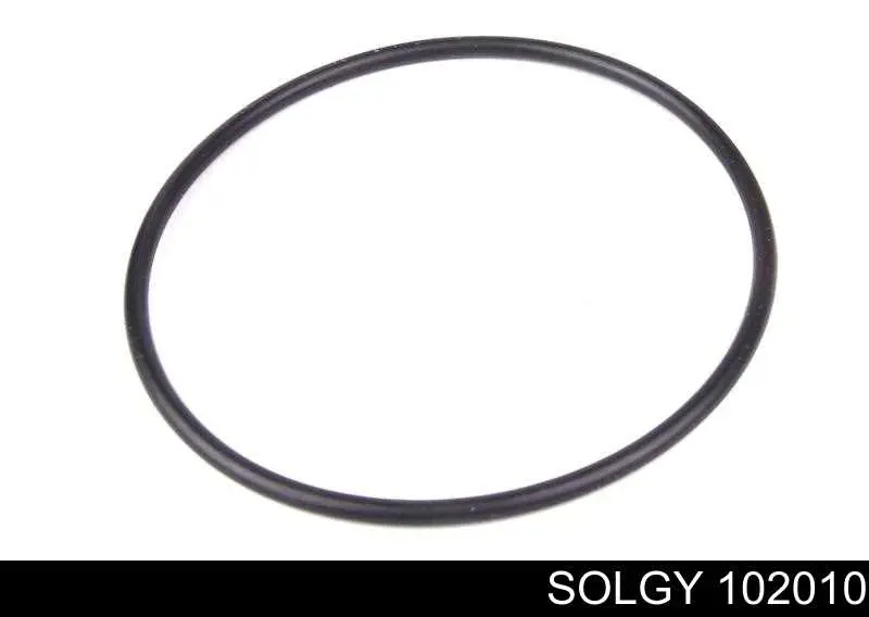 Filtro combustible Solgy 102010 precio, desde 11,29 EUR