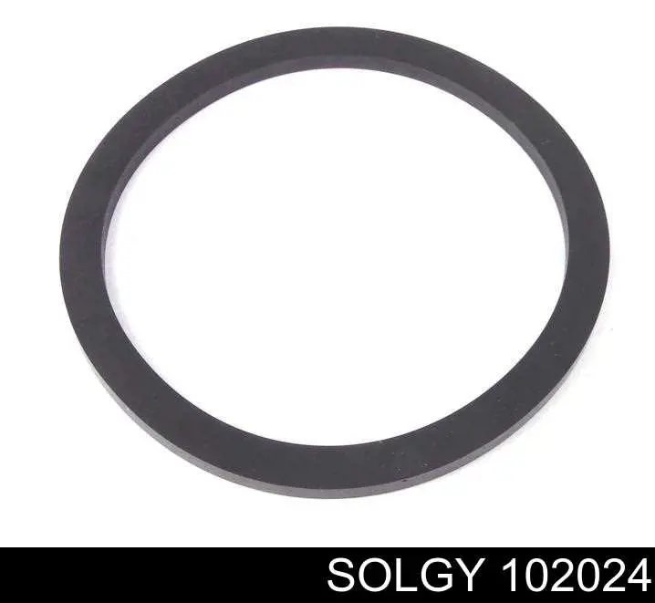 102024 Solgy Filtro de gasolina