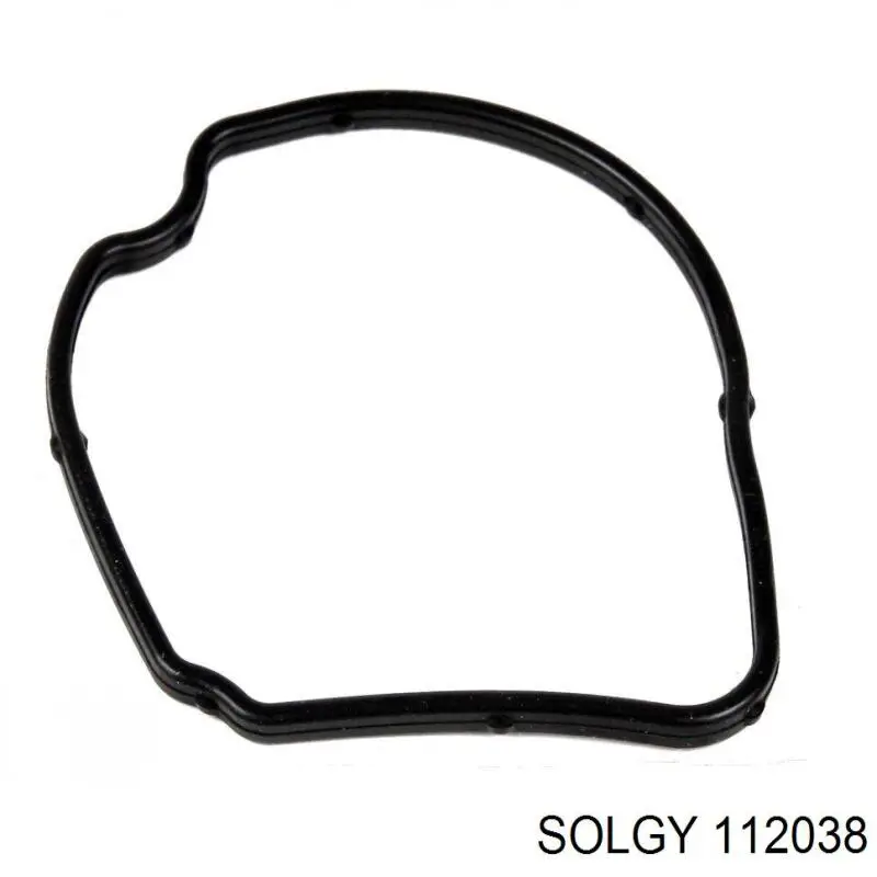 Termostato 112038 Solgy
