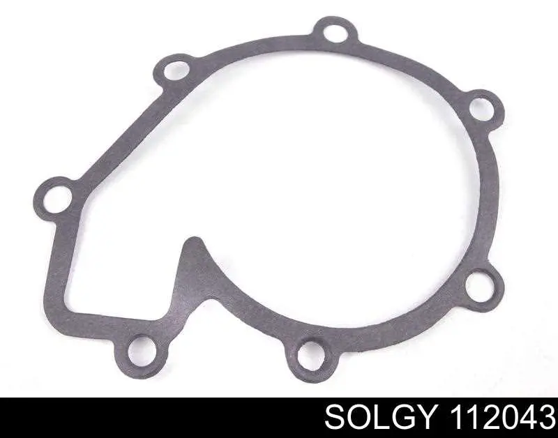 Comprar 112043 Solgy Bomba de agua para motor