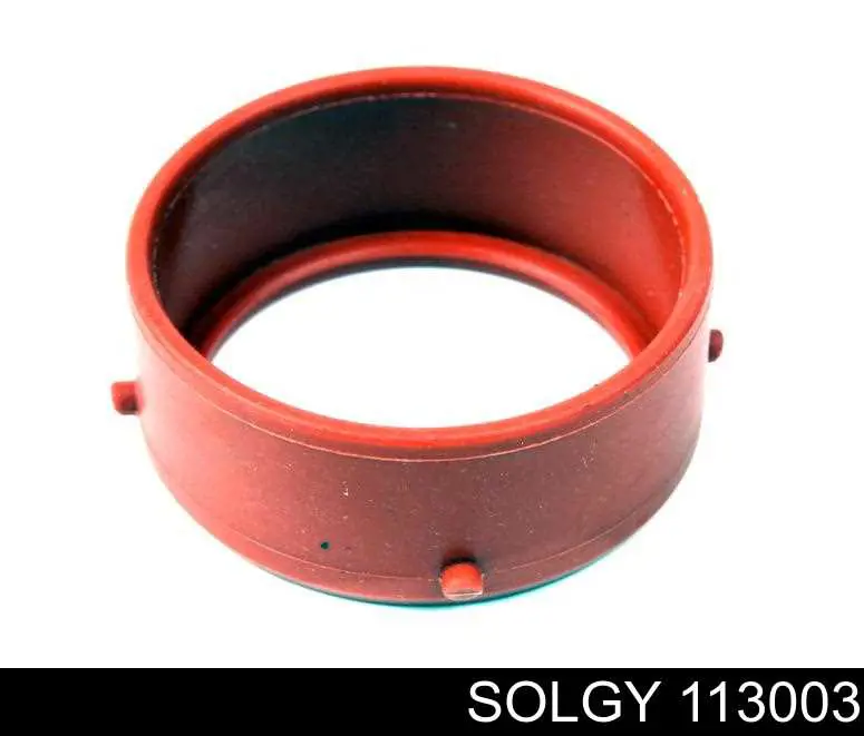 113003 Solgy Junta de turbina, inserto flexible