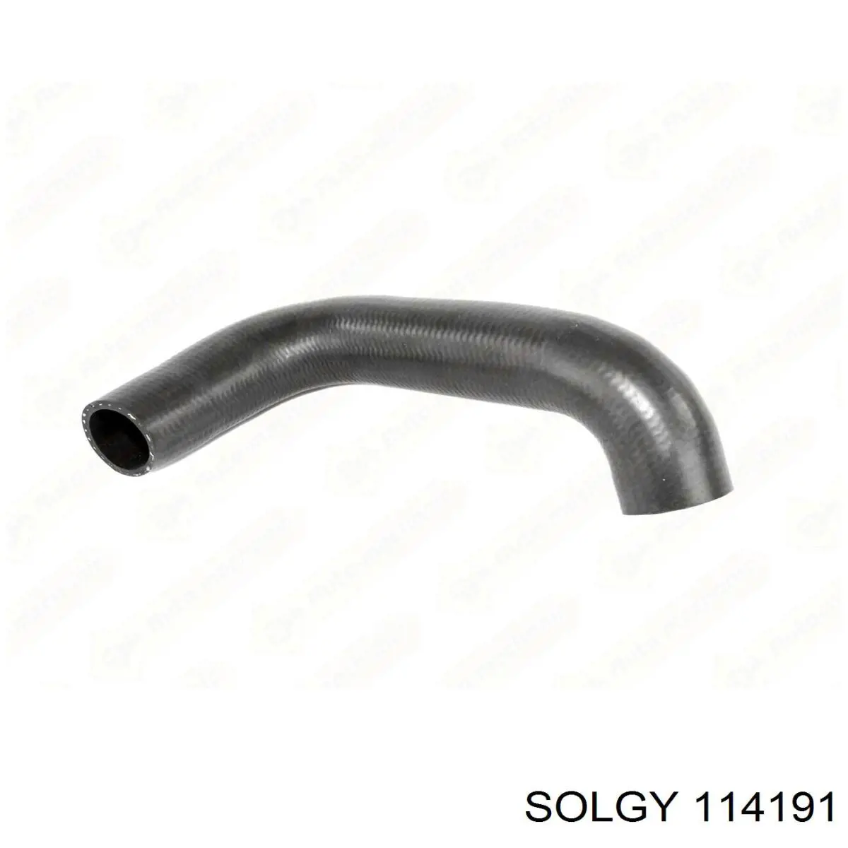 114191 Solgy Manguera del intercooler
