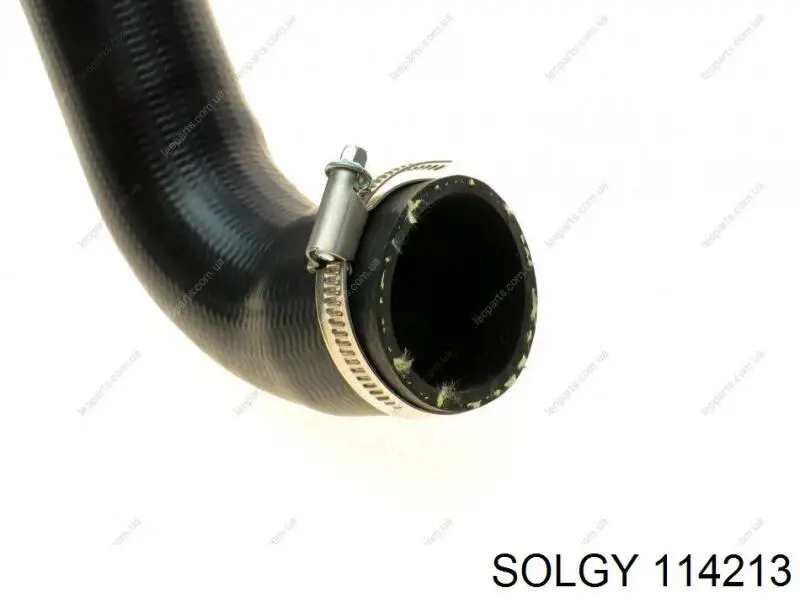 114213 Solgy Manguera del intercooler