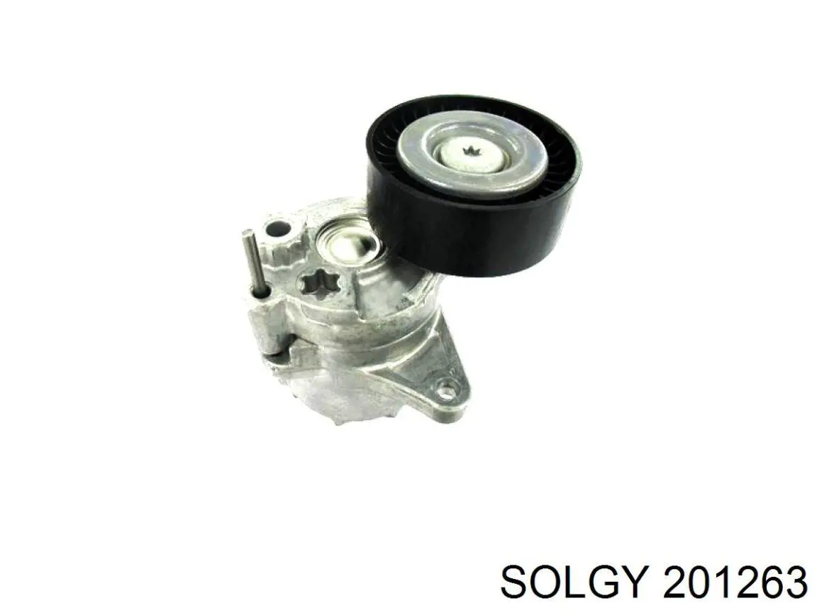 201263 Solgy Buje trasero de ballesta trasera