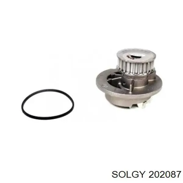 Tope del brazo de suspensión delantero inferior Solgy 202087 precio, desde 16,57 EUR