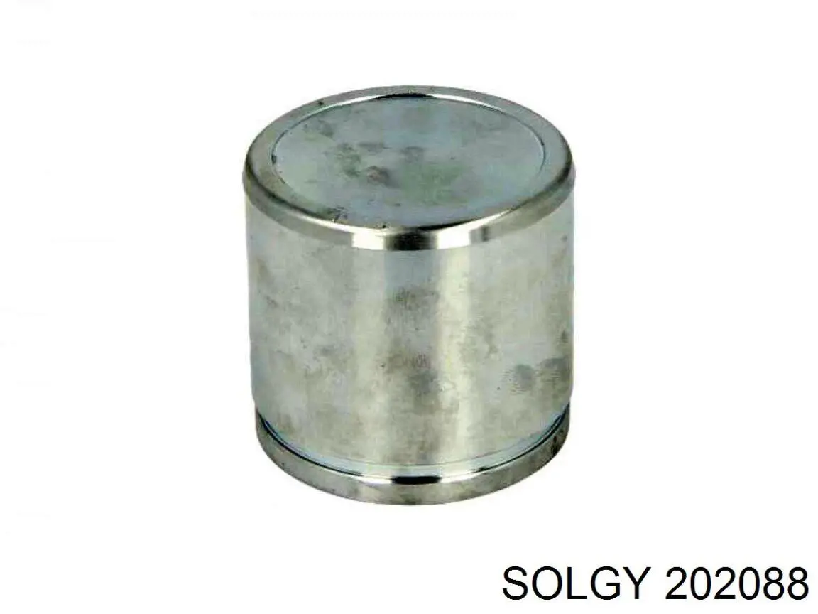  Solgy 202088