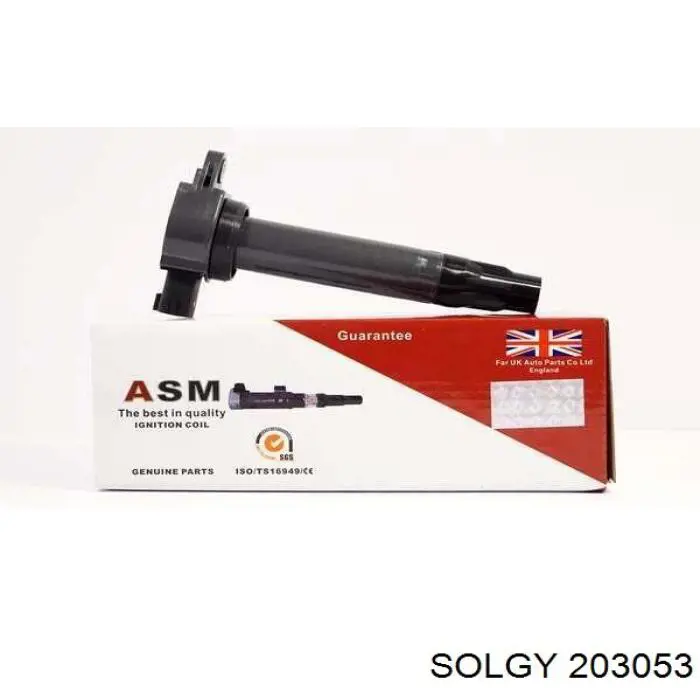  Solgy 203053