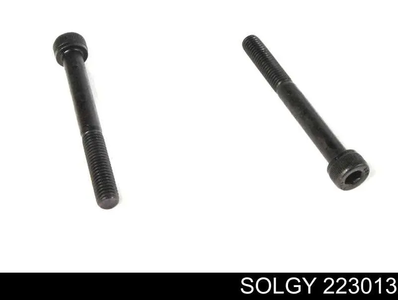 Kit de reparación de pinzas de freno 223013 Solgy