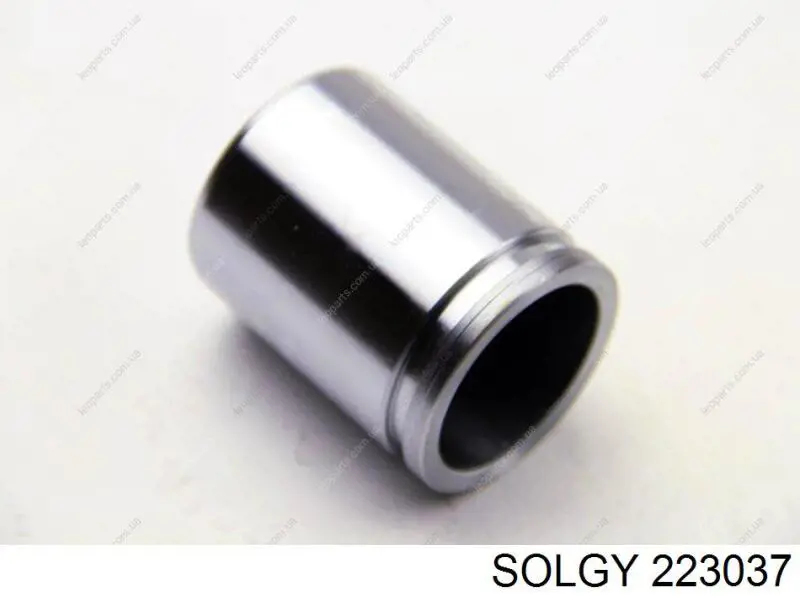 223037 Solgy