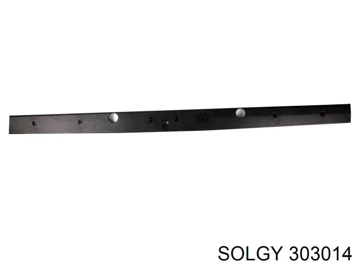 Moldura inferior de la puerta trasera izquierda 303014 Solgy