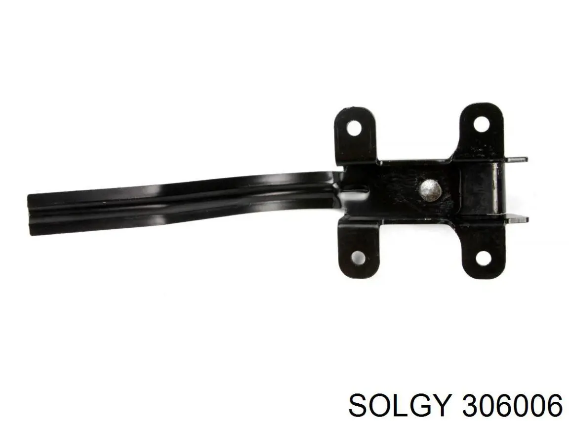 306006 Solgy asegurador puerta de maletero (furgoneta)