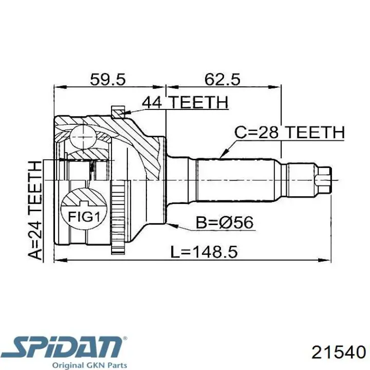 Fuelle, palier delantero exterior GKN-Spidan 21540 precio, desde 9,83 EUR