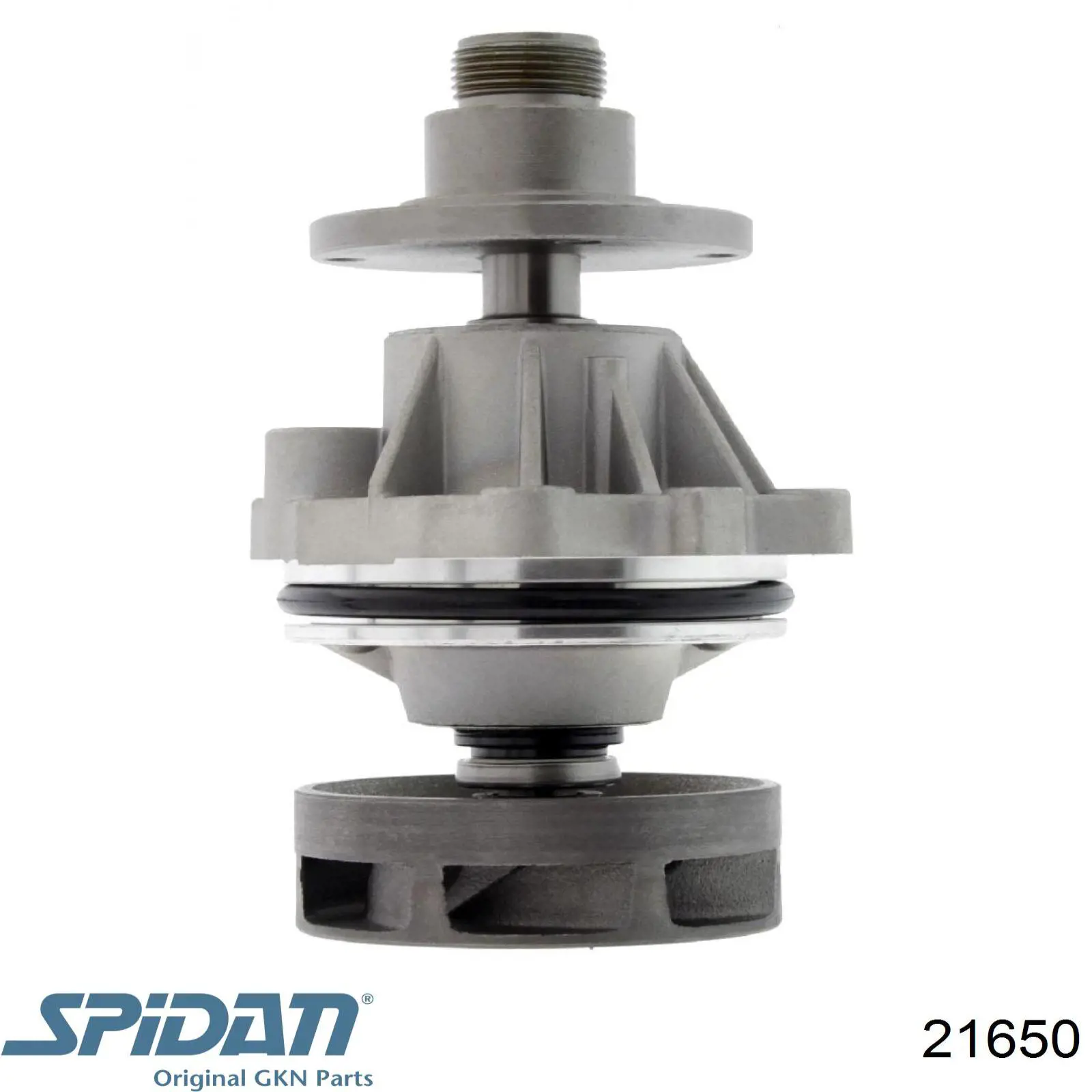 21650 GKN-Spidan fuelle, árbol de transmisión delantero exterior