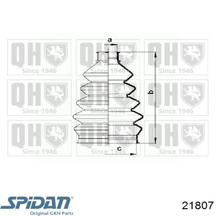 Fuelle, palier delantero exterior GKN-Spidan 21807 precio, desde 7,55 EUR