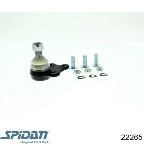 Fuelle de palier delantero exterior 22265 GKN-Spidan