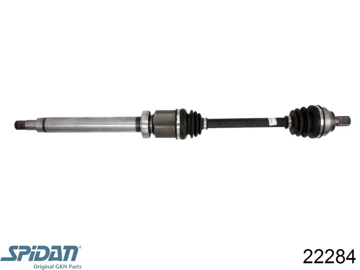 Fuelle, junta homocinética interior derecha delantera GKN-Spidan 22284 precio, desde 18,10 EUR