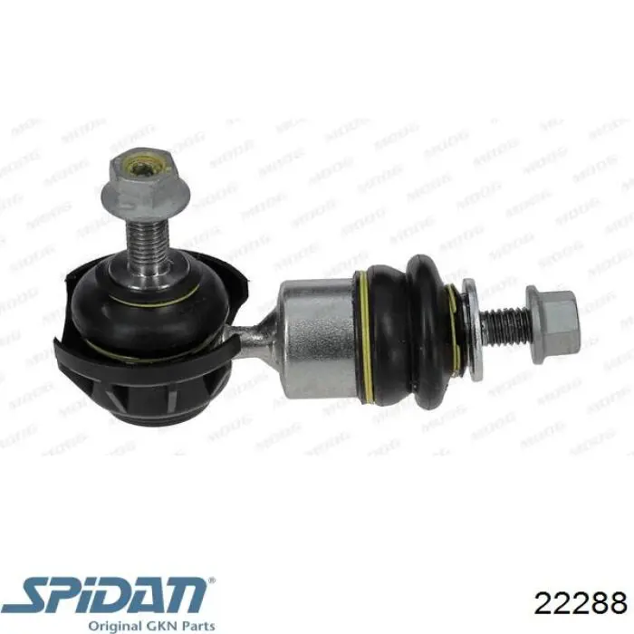 Fuelle, palier delantero exterior GKN-Spidan 22288 precio, desde 24,55 EUR