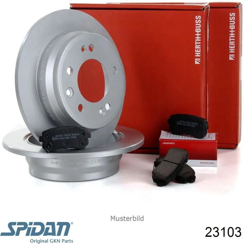 Fuelle, palier delantero exterior GKN-Spidan 23103 precio, desde 4,49 EUR