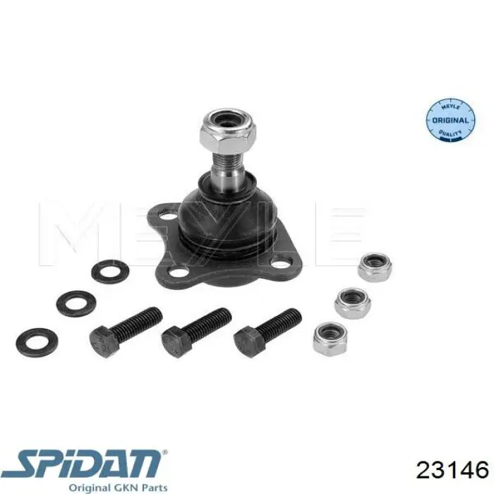 Fuelle, palier delantero exterior GKN-Spidan 23146 precio, desde 18,37 EUR