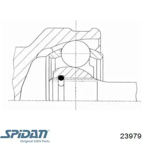 Junta homocinética exterior delantera GKN-Spidan 23979