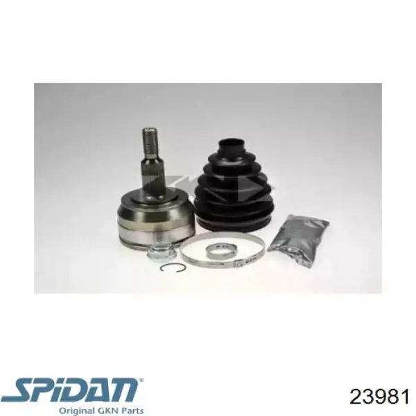 23981 GKN-Spidan Junta homocinética