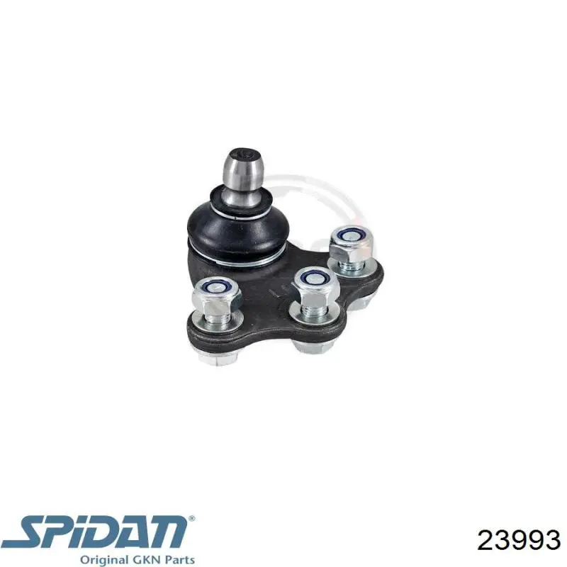 Fuelle, palier delantero exterior GKN-Spidan 23993 precio, desde 13,10 EUR