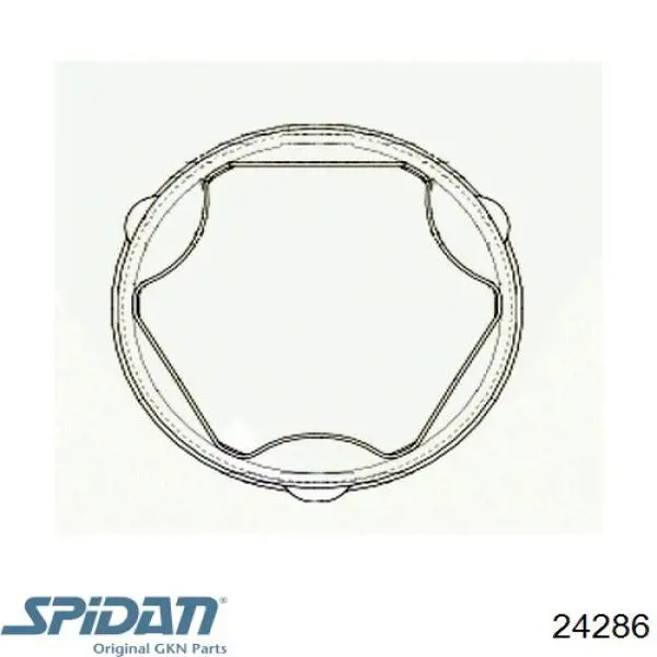 Fuelle, palier delantero exterior GKN-Spidan 24286 precio, desde 12,76 EUR