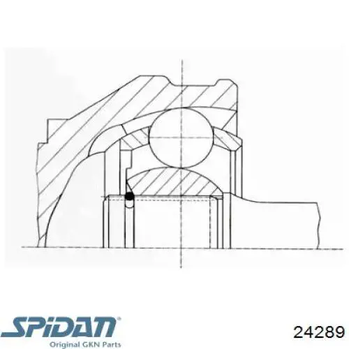 Junta homocinética interna delantera derecha 24289 GKN-Spidan