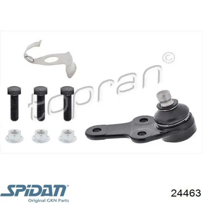 Fuelle, palier delantero exterior GKN-Spidan 24463 precio, desde 11,62 EUR