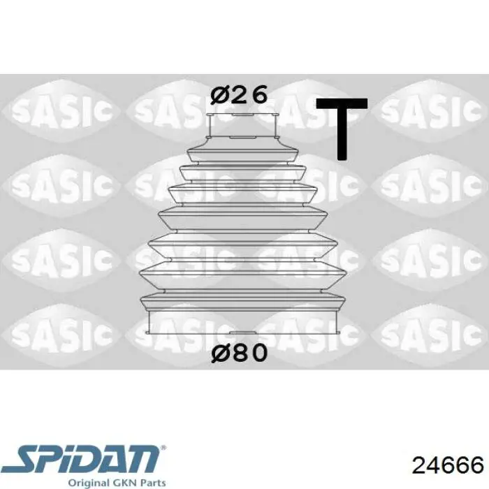 Fuelle, palier delantero exterior GKN-Spidan 24666 precio, desde 7,17 EUR