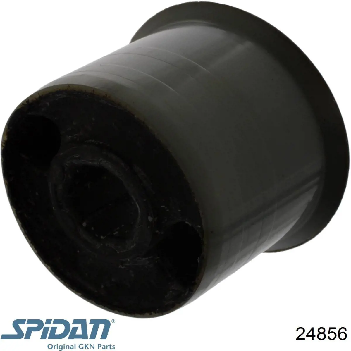 Fuelle transmisión delantero exterior GKN-Spidan 24856 precio, desde 5,40 EUR