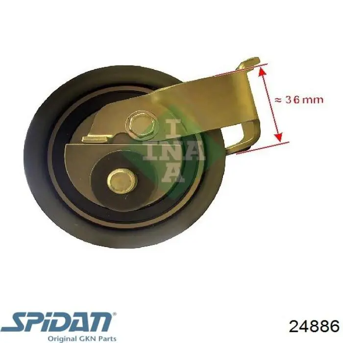 Fuelle, palier delantero exterior GKN-Spidan 24886 precio, desde 29,67 EUR