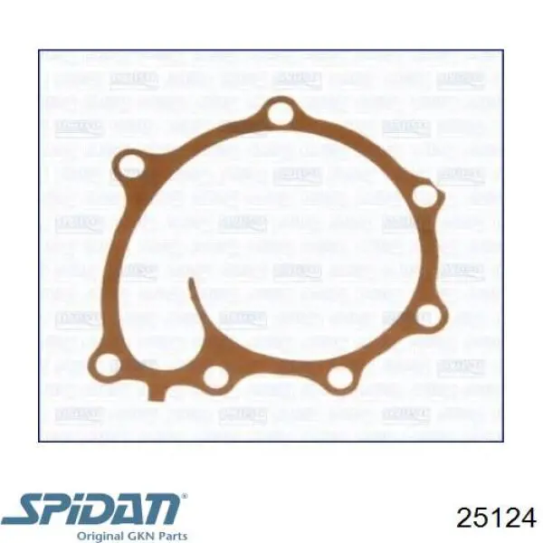 Fuelle, palier delantero exterior GKN-Spidan 25124 precio, desde 12,29 EUR