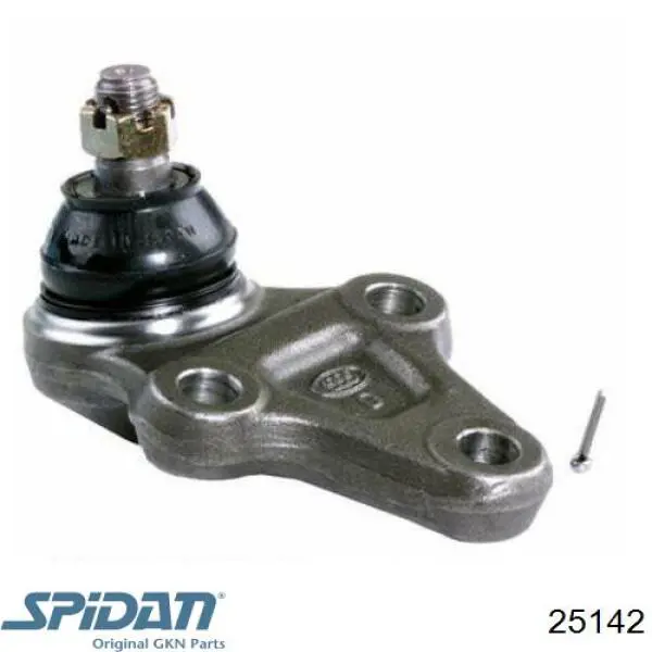Fuelle, palier delantero exterior GKN-Spidan 25142 precio, desde 12,17 EUR