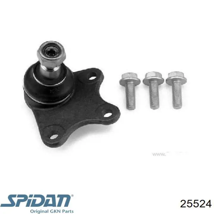 Comprar 25524 GKN-Spidan Fuelle de palier delantero exterior