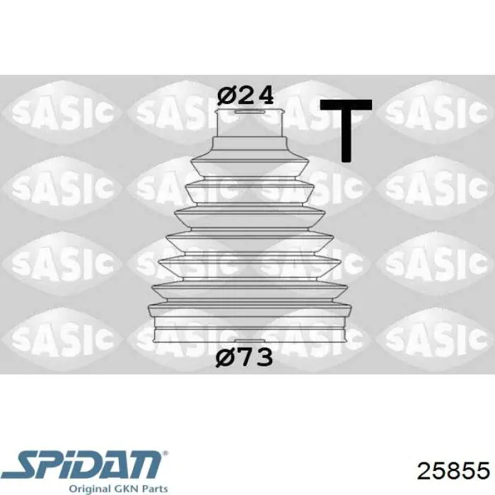 Fuelle, palier delantero exterior GKN-Spidan 25855 precio, desde 9,73 EUR