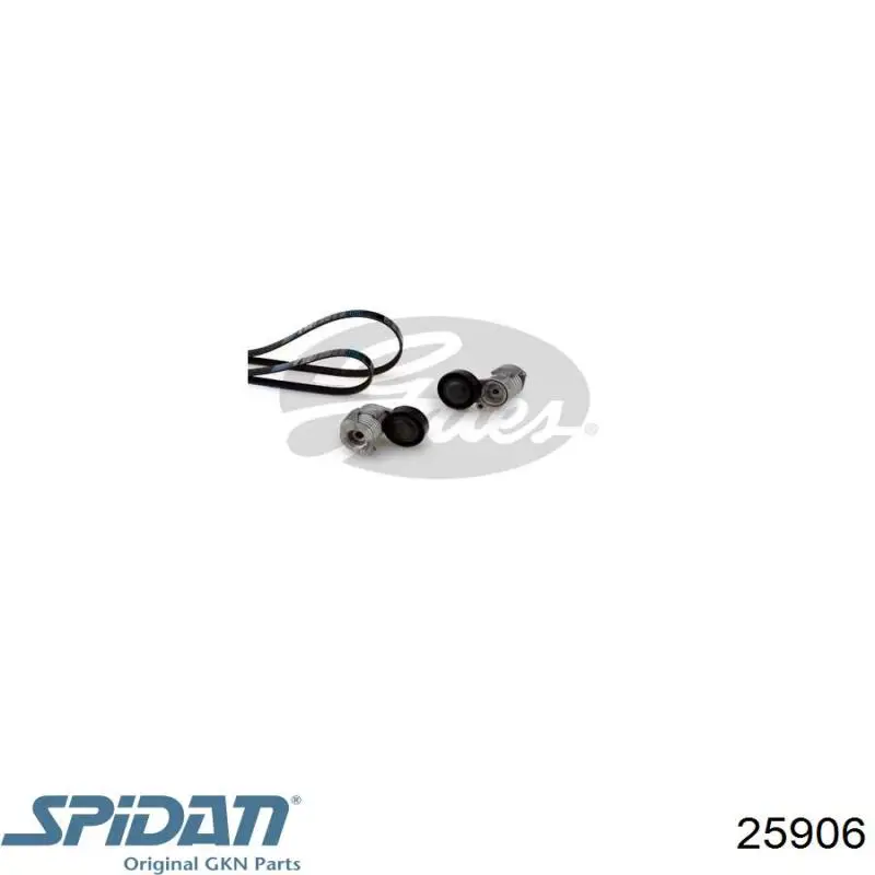 Fuelle de semieje delantero interior 25906 GKN-Spidan