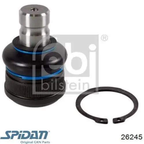 Fuelle interior de junta homocinética del semieje trasero GKN-Spidan 26245 precio, desde 15,38 EUR
