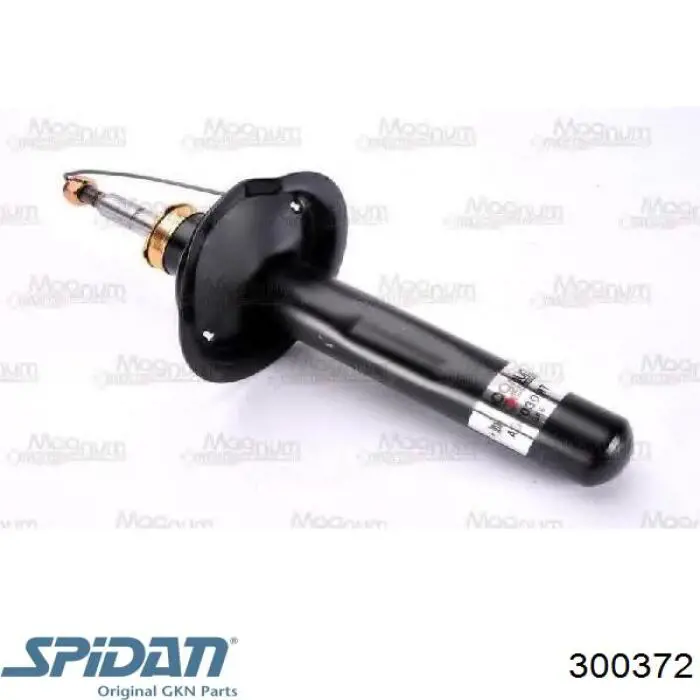Fuelle de palier delantero exterior 300372 GKN-Spidan