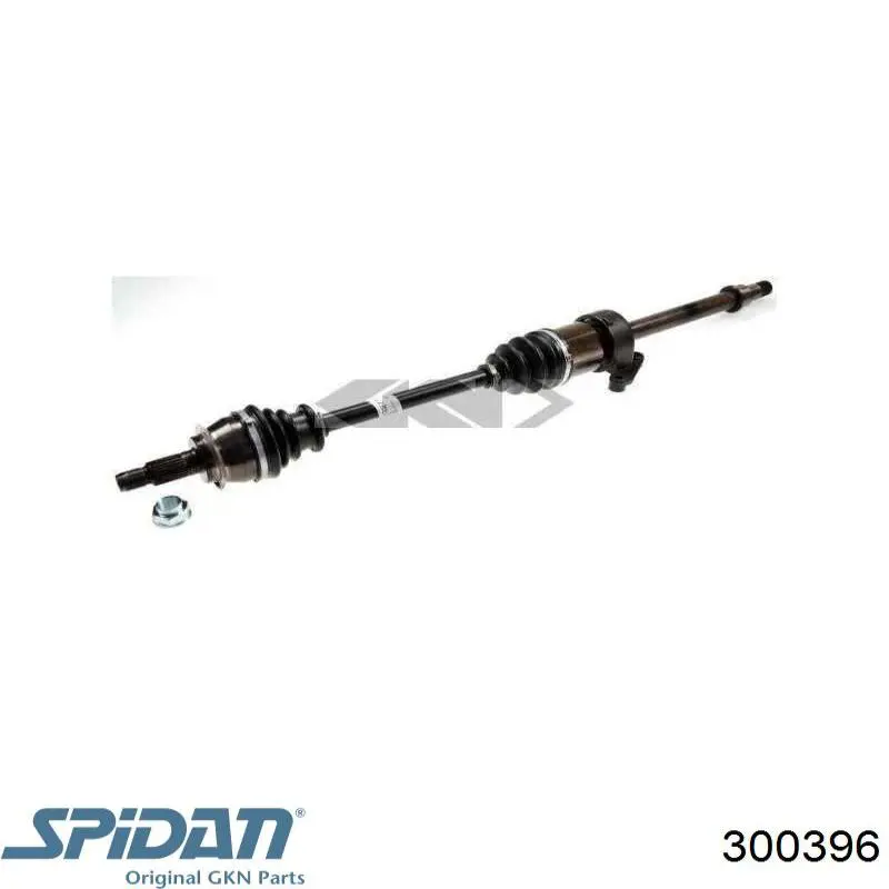 Fuelle, palier delantero exterior GKN-Spidan 300396 precio, desde 13,51 EUR