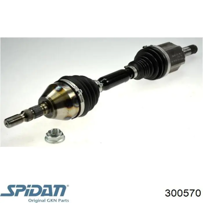 Fuelle transmisión delantero exterior GKN-Spidan 300570 precio, desde 4,30 EUR